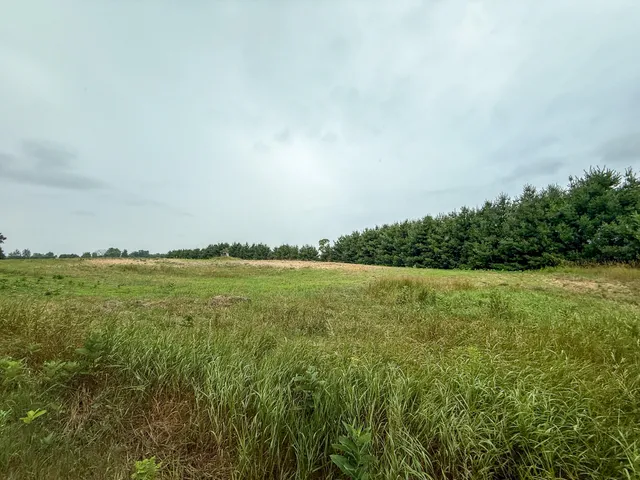 $127,500 | Parcel B North Stephens Road, Custer, MI 49405