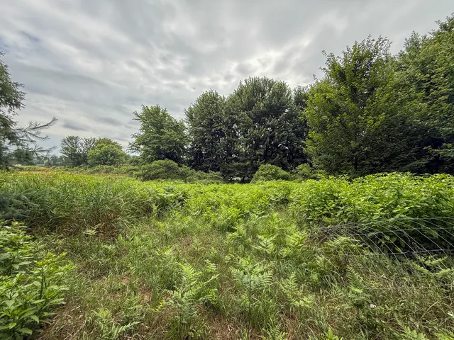 $127,500 | Parcel B North Stephens Road, Custer, MI 49405