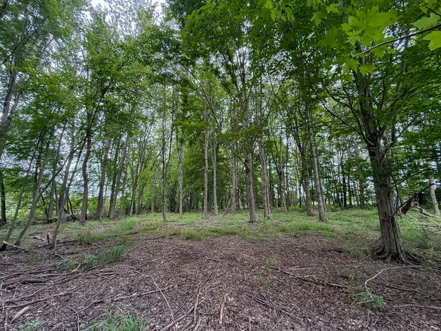 $127,500 | Parcel B North Stephens Road, Custer, MI 49405