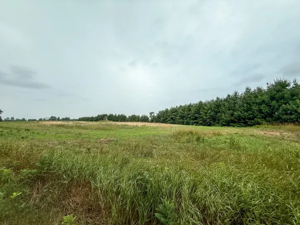 $127,500 | Parcel B North Stephens Road, Custer, MI 49405