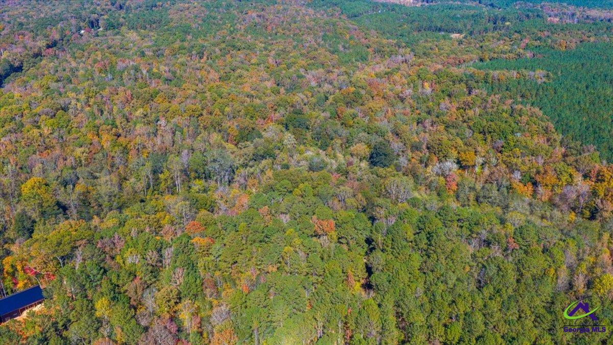 3271 Highway 42 Forsyth, GA 31029 - Photo 16 of 29