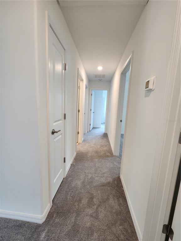 9905 Spanish Lime Court Riverview, FL 33578 - Photo 20 of 33