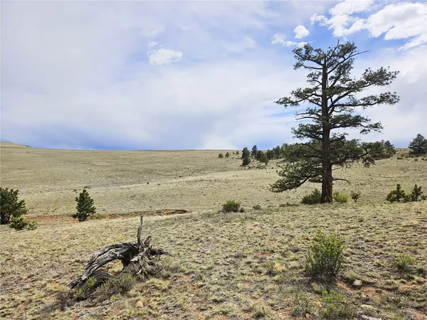 $79,000 | Pcs#24131 Chato Road, Hartsel, CO 80449