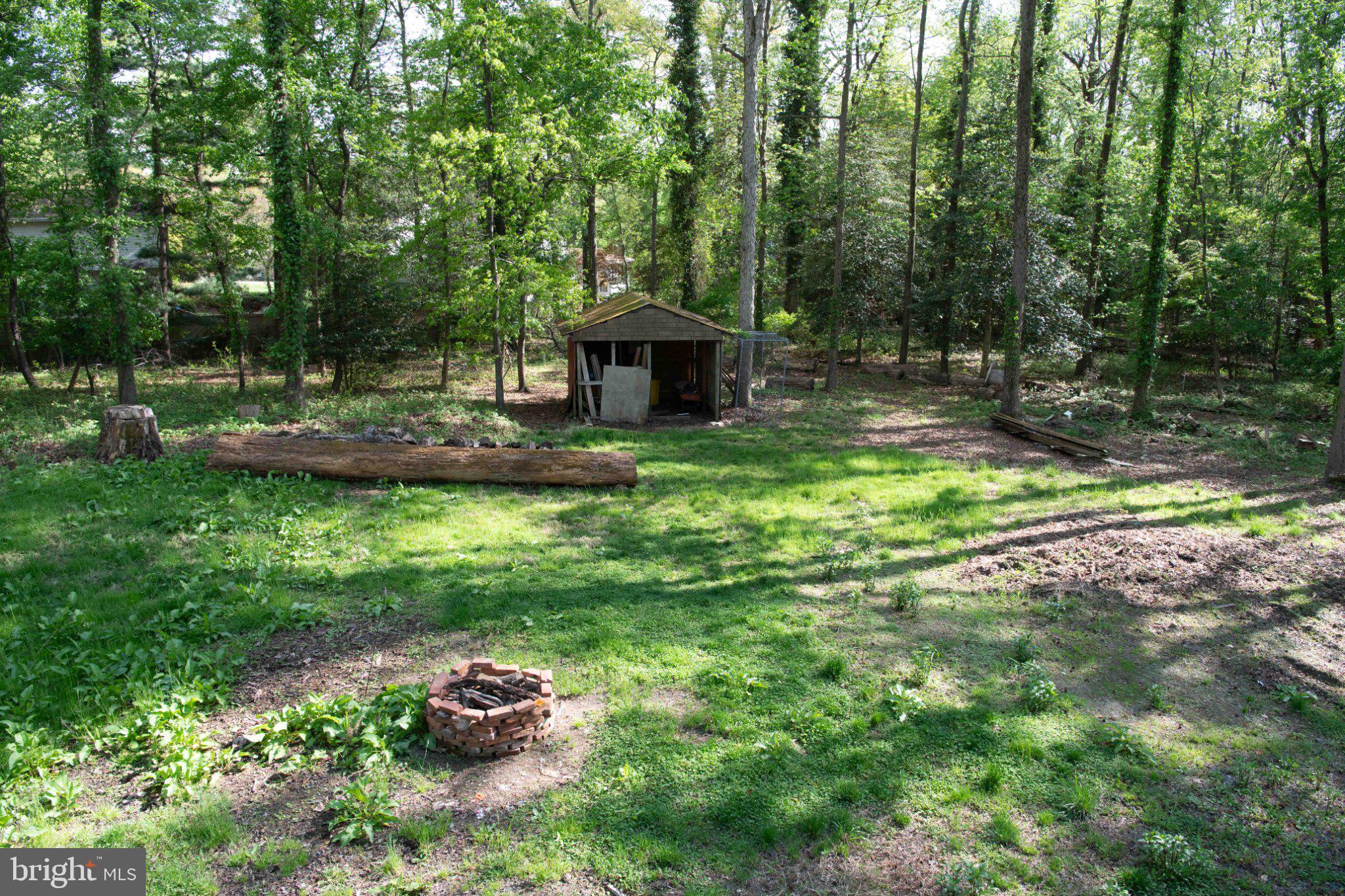 4785 Mountain Road Pasadena, MD 21122 - Photo 41 of 50 Serene woodland retreat with shed.
