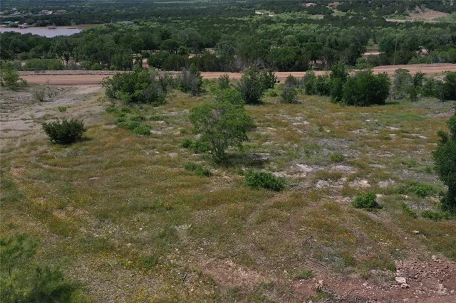 a view of a dry yard with green space