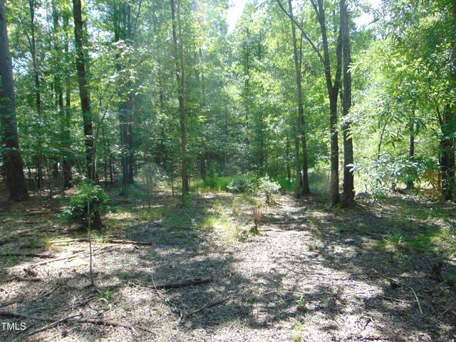 $90,000 | 0 Us Highway, Bullock, NC 27507