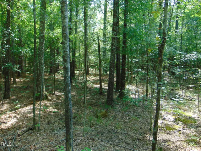$90,000 | 0 Us Highway, Bullock, NC 27507