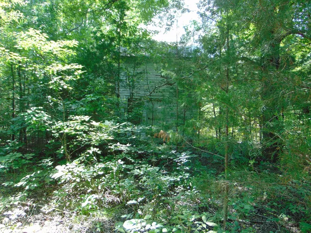 $90,000 | 0 Us Highway, Bullock, NC 27507