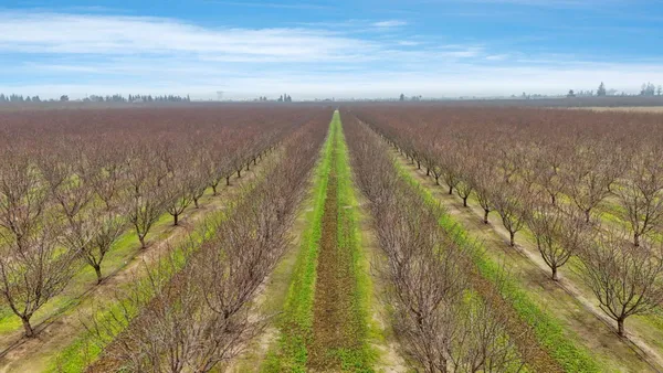 $2,500,000 | 23346 Frederick Road, Ripon, CA 95366