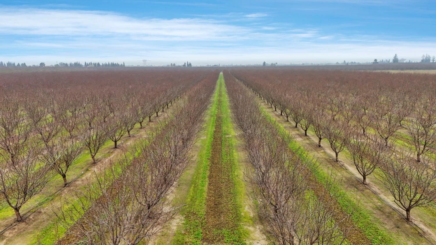 23346 Frederick Road Ripon, CA 95366 - Photo 89 of 96