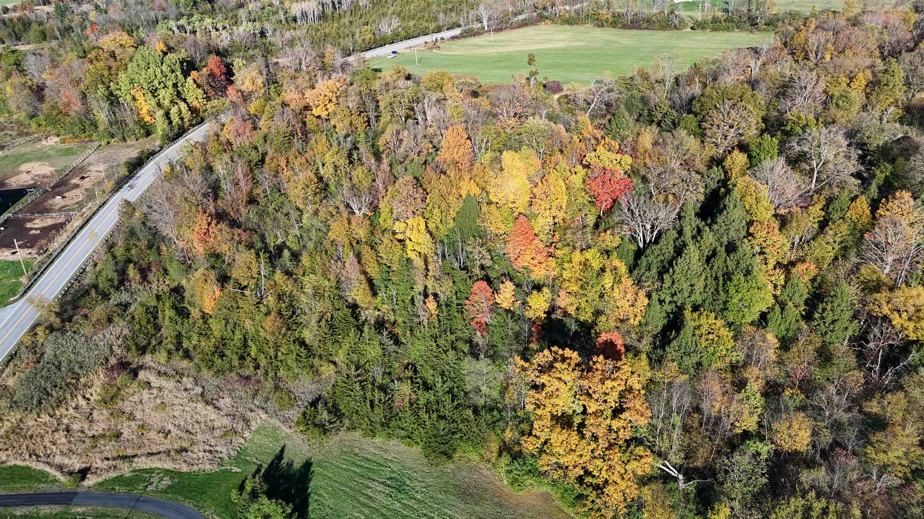 74 Cornwall Vt 05753 Cornwall, VT 05753 - Photo 13 of 13