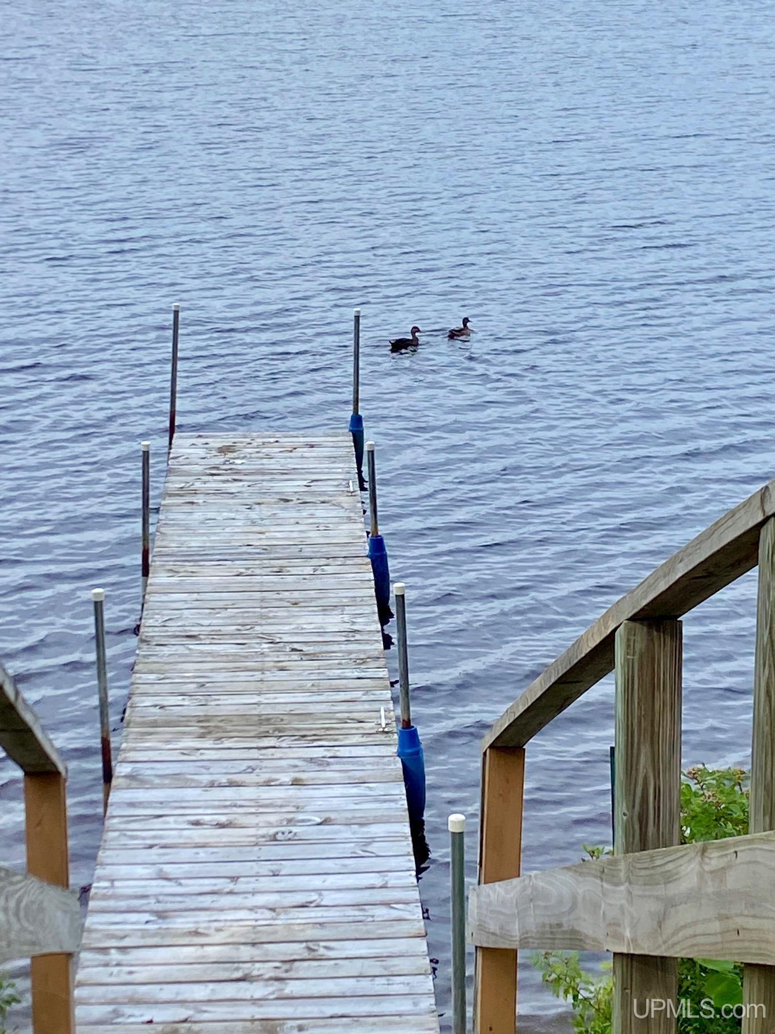 24760 Ruth Lake Road Michigamme, MI 49861 - Photo 60 of 95