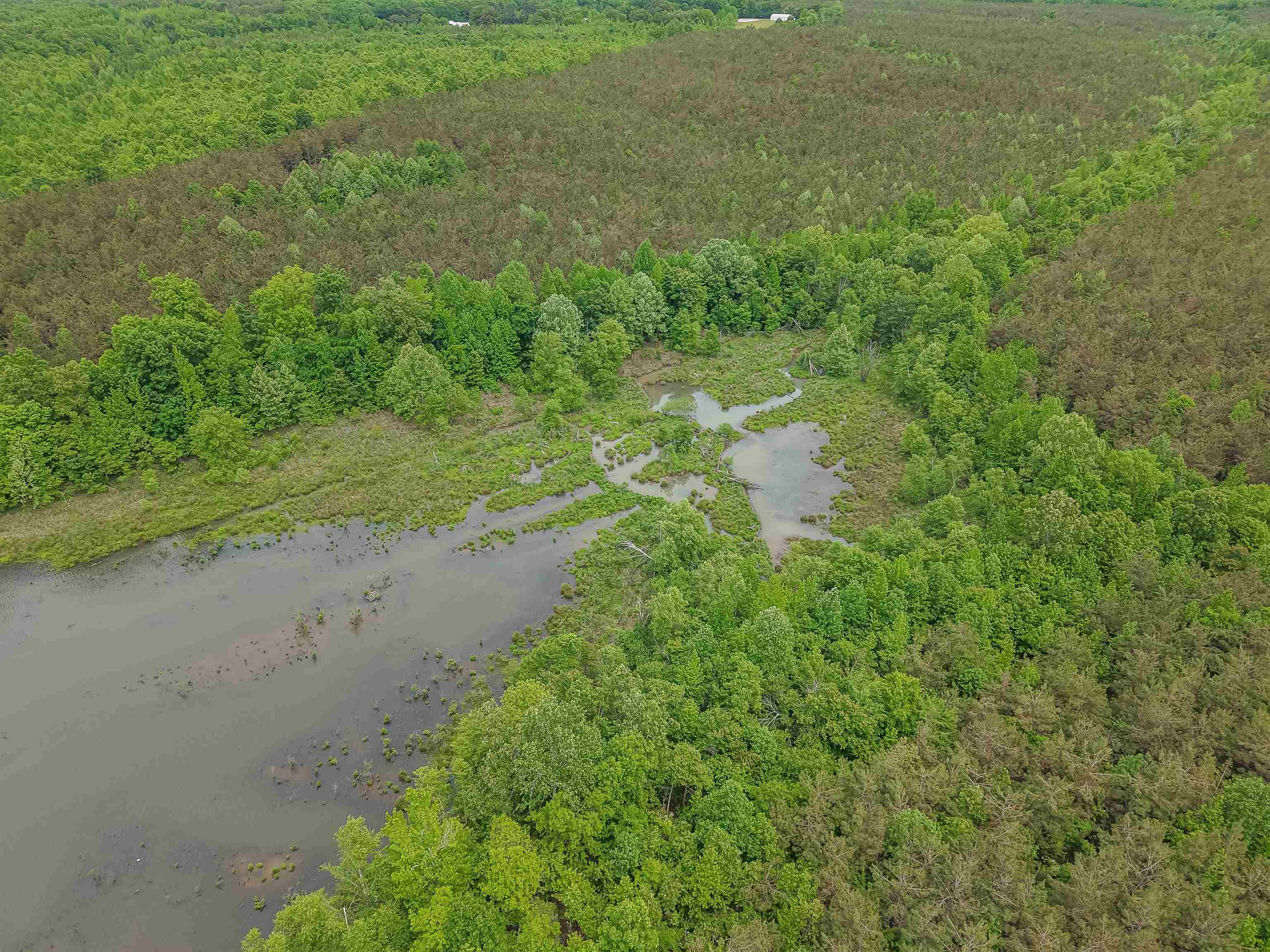 Connie Smith Road Selmer, TN 38375 - Photo 12 of 30 a view of a dirt pathway both side of green field