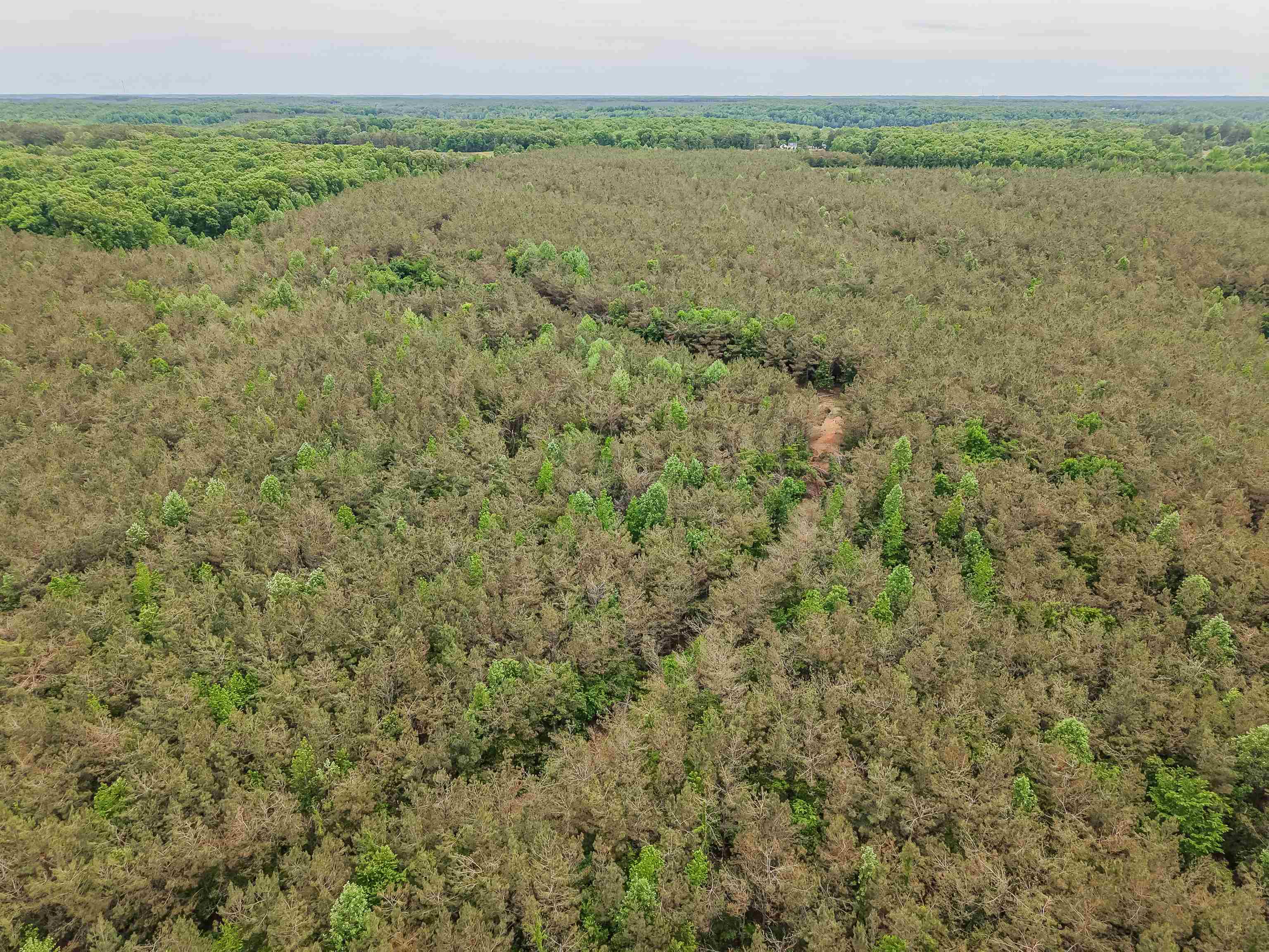 Connie Smith Road Selmer, TN 38375 - Photo 14 of 30 a view of a lake from a yard