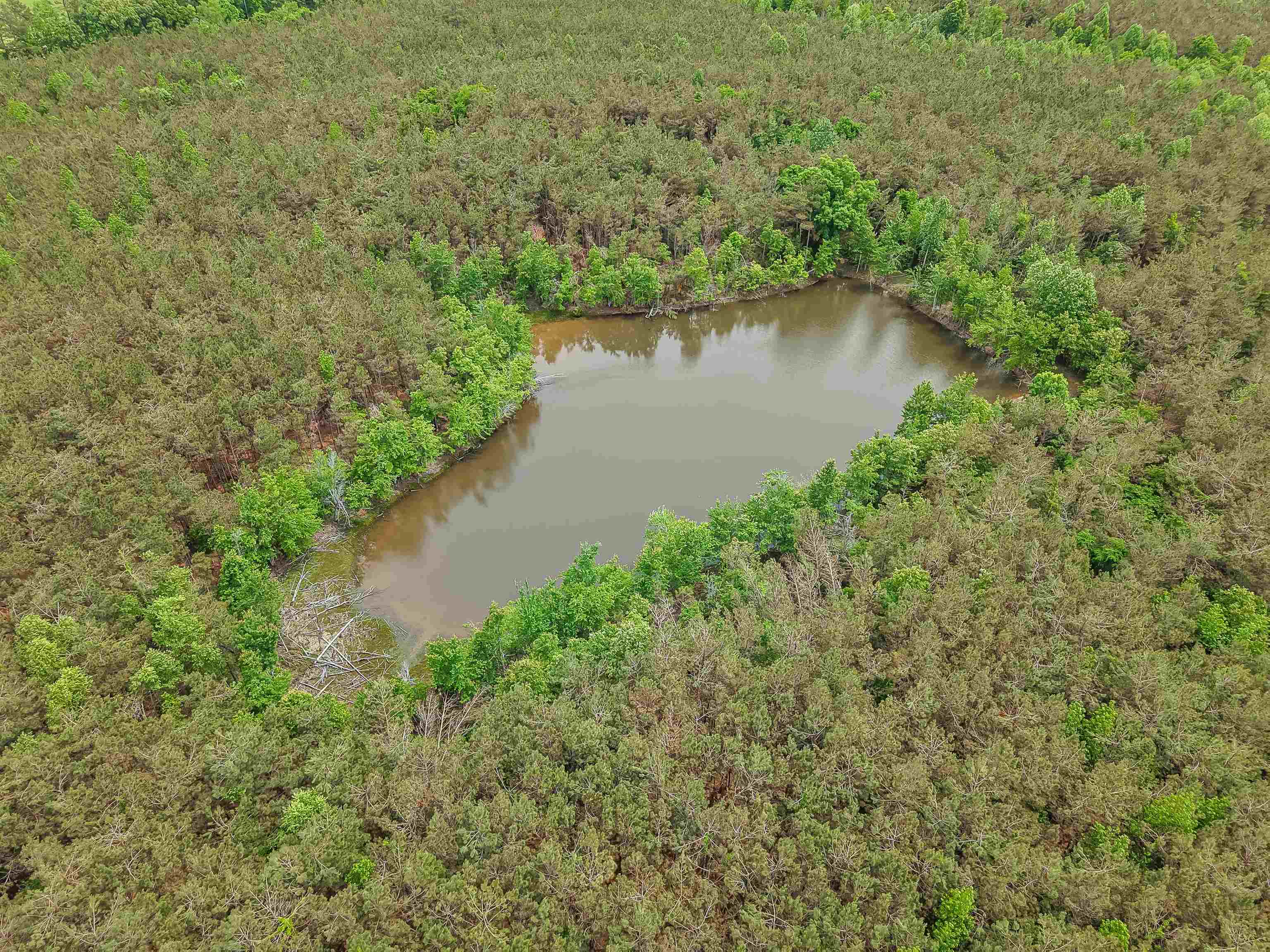 Connie Smith Road Selmer, TN 38375 - Photo 17 of 30 a view of a lake with a forest