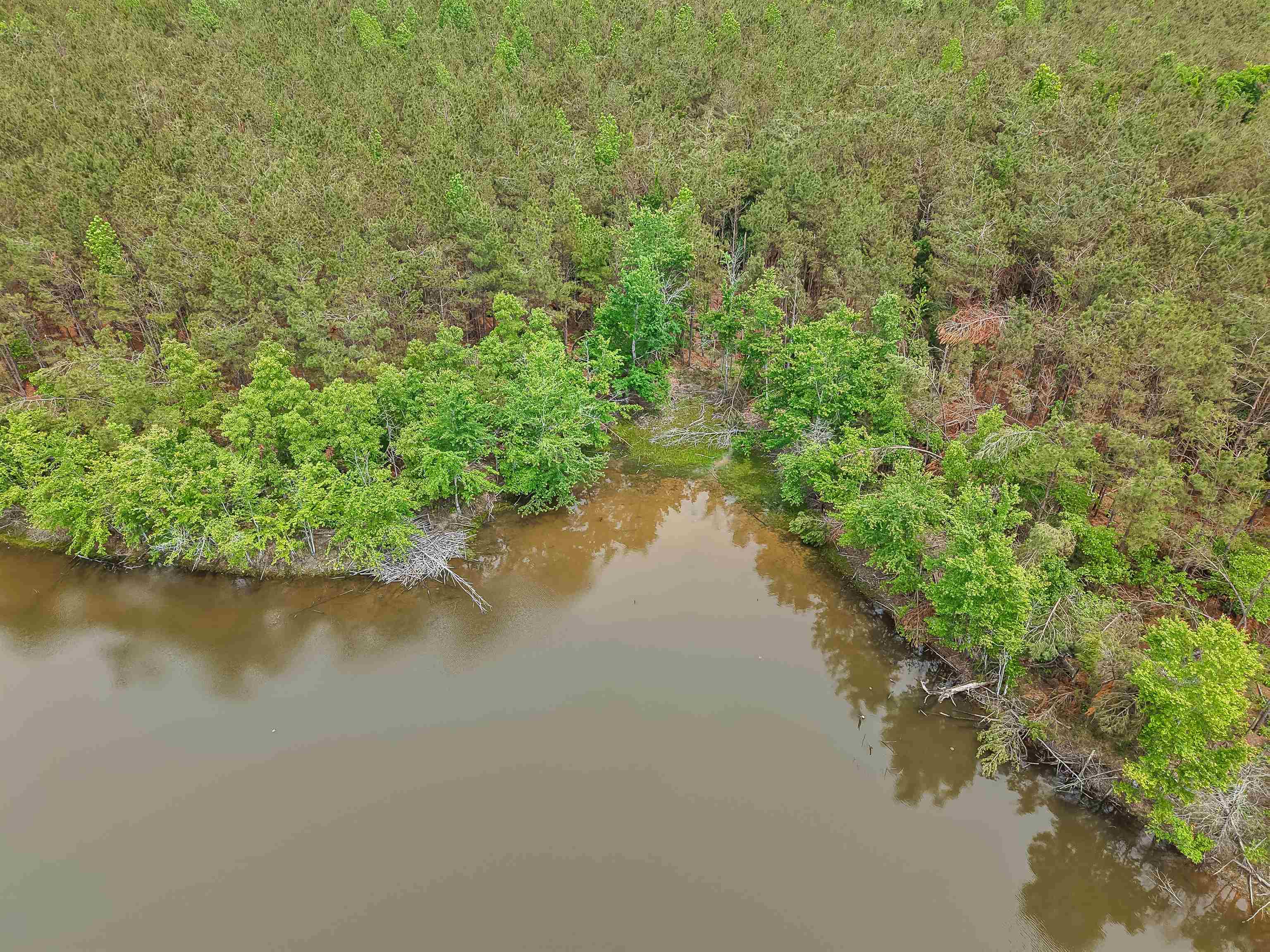 Connie Smith Road Selmer, TN 38375 - Photo 18 of 30 a view of a lake with a yard and large trees