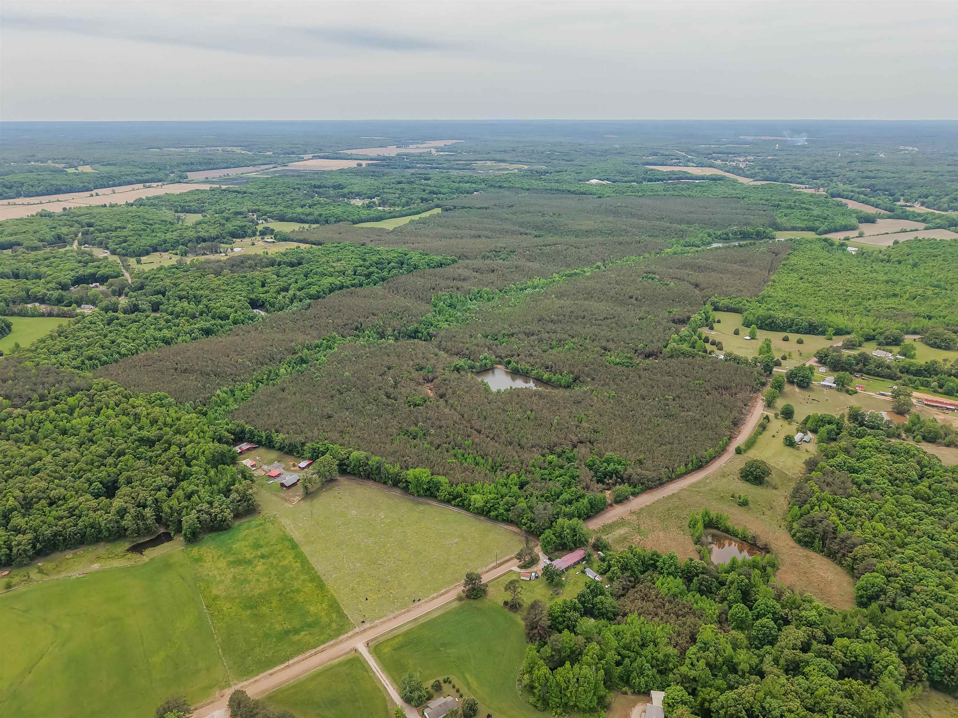 Connie Smith Road Selmer, TN 38375 - Photo 2 of 30 a view of a field with an ocean