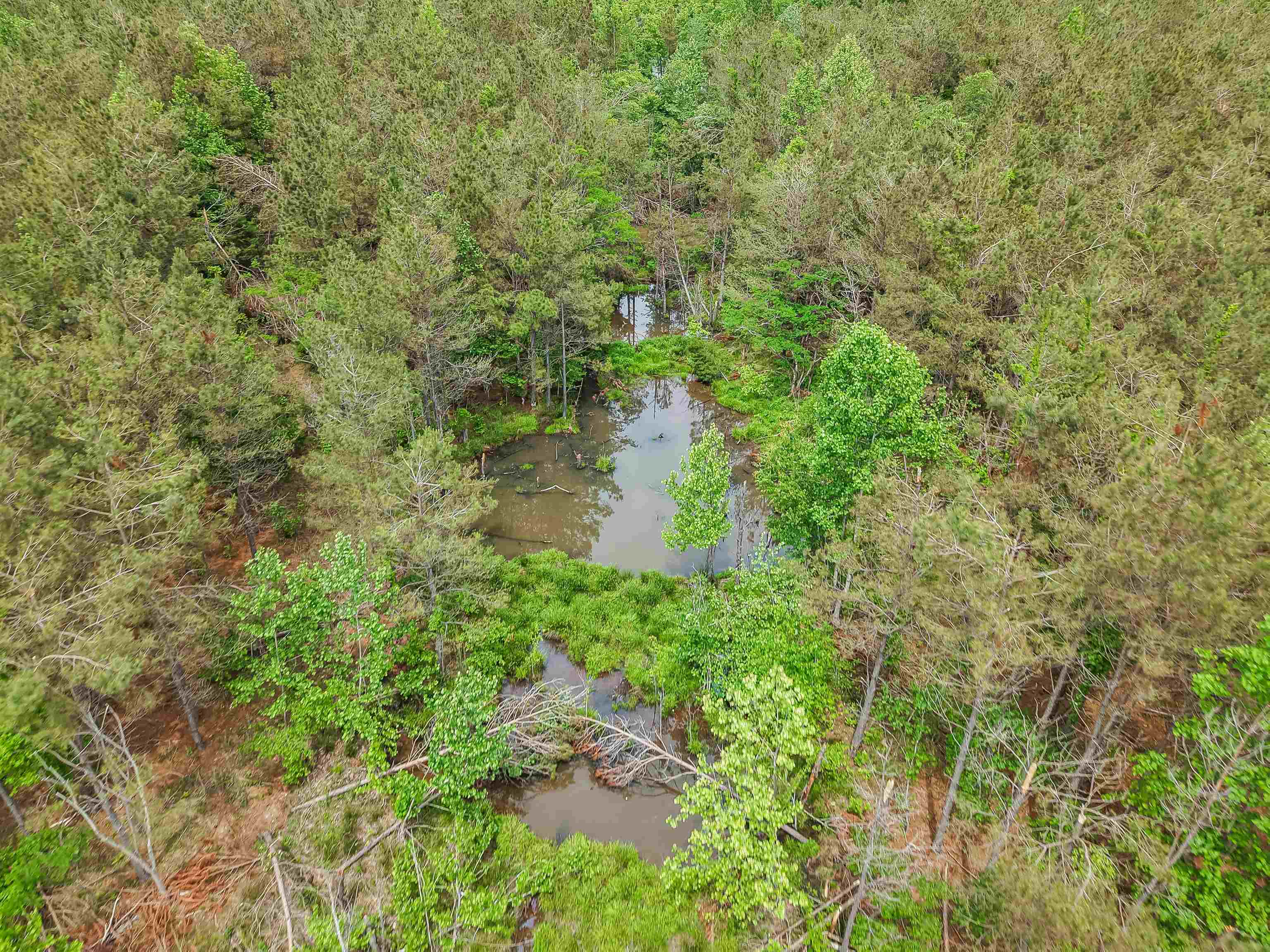 Connie Smith Road Selmer, TN 38375 - Photo 24 of 30 a view of a garden with a lake