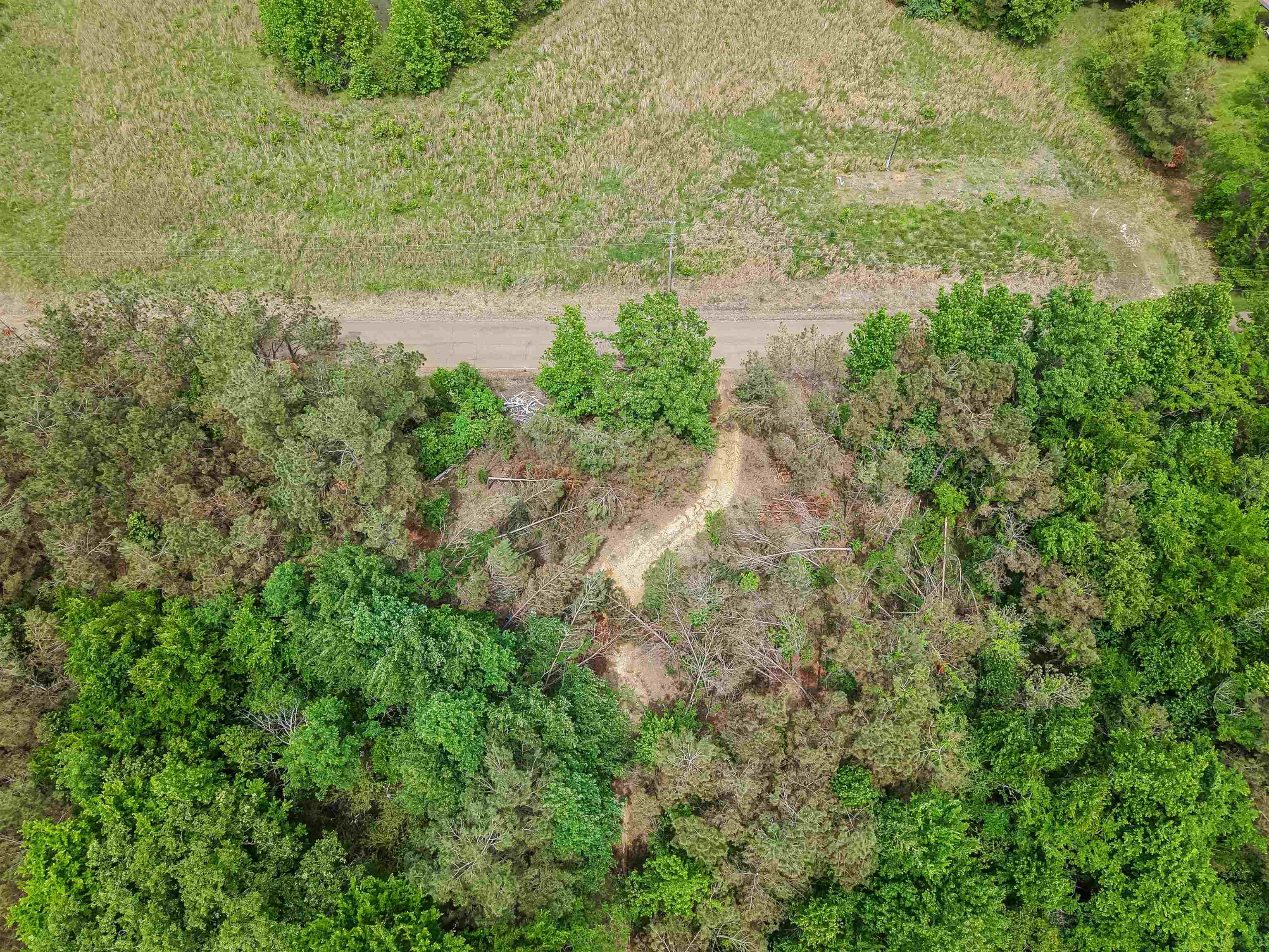 Connie Smith Road Selmer, TN 38375 - Photo 26 of 30 a view of a yard with a tree