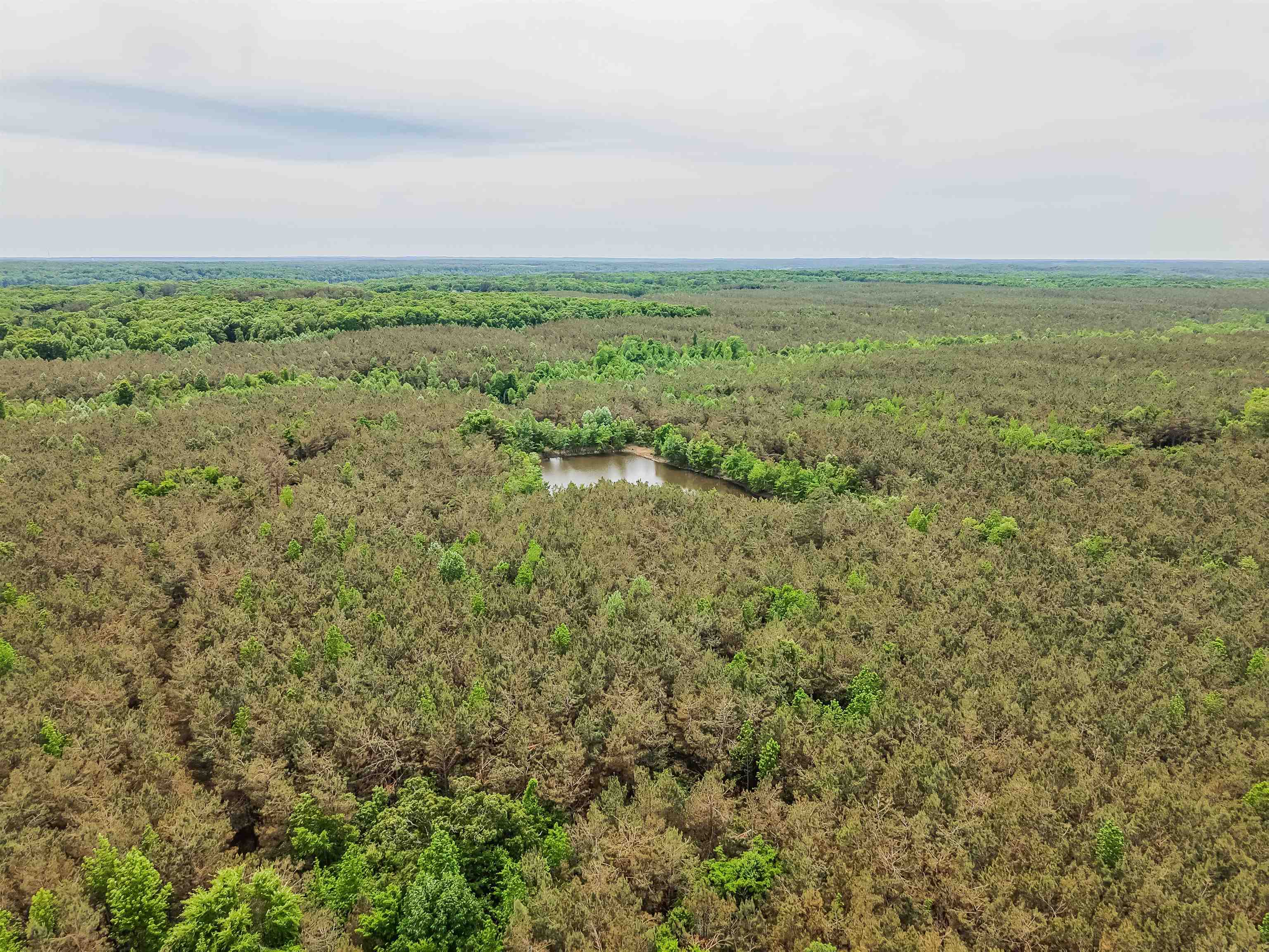 Connie Smith Road Selmer, TN 38375 - Photo 27 of 30 a view of a field with an ocean