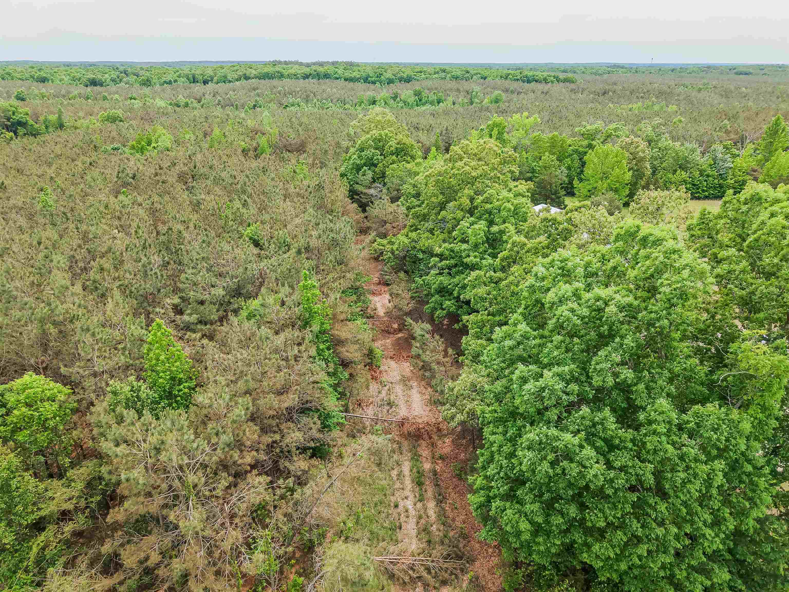 Connie Smith Road Selmer, TN 38375 - Photo 29 of 30 a view of a green field with lots of bushes