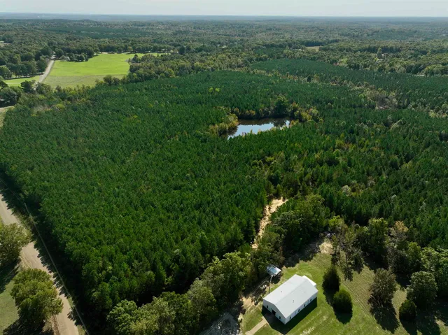 an aerial view of green landscape with trees houses and mountain view