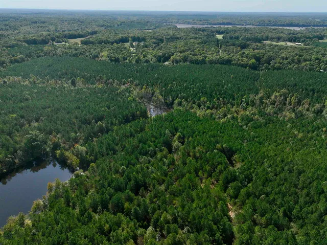 an aerial view of residential house with outdoor space and trees all around