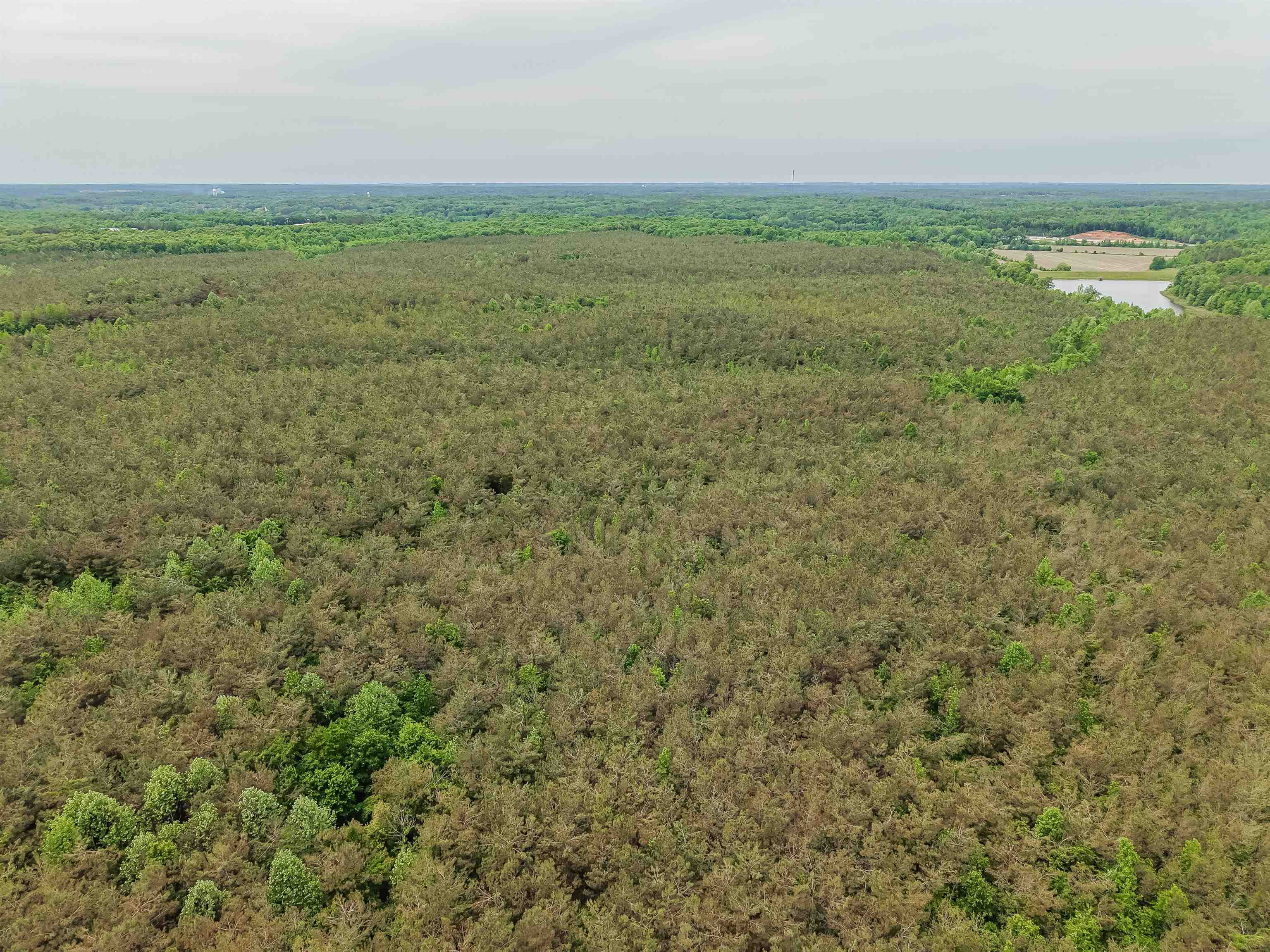 Connie Smith Road Selmer, TN 38375 - Photo 6 of 30 a view of a field with an outdoor space