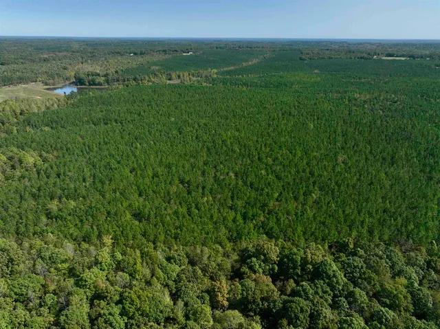 a view of a lush green outdoor space with a lake view