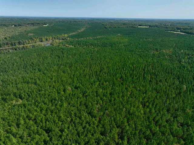 a view of a lush green outdoor space with a lake view