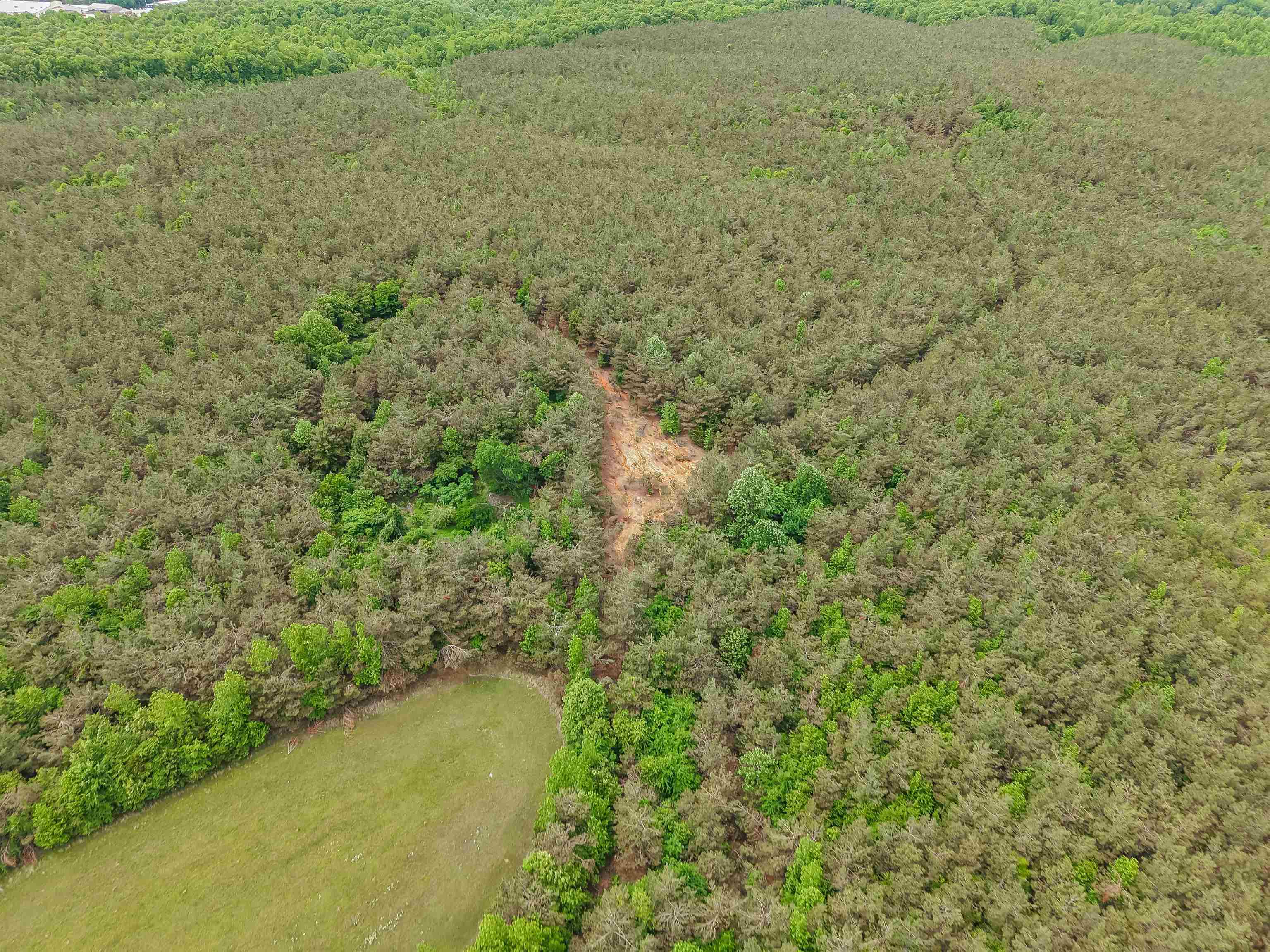 Connie Smith Road Selmer, TN 38375 - Photo 7 of 30