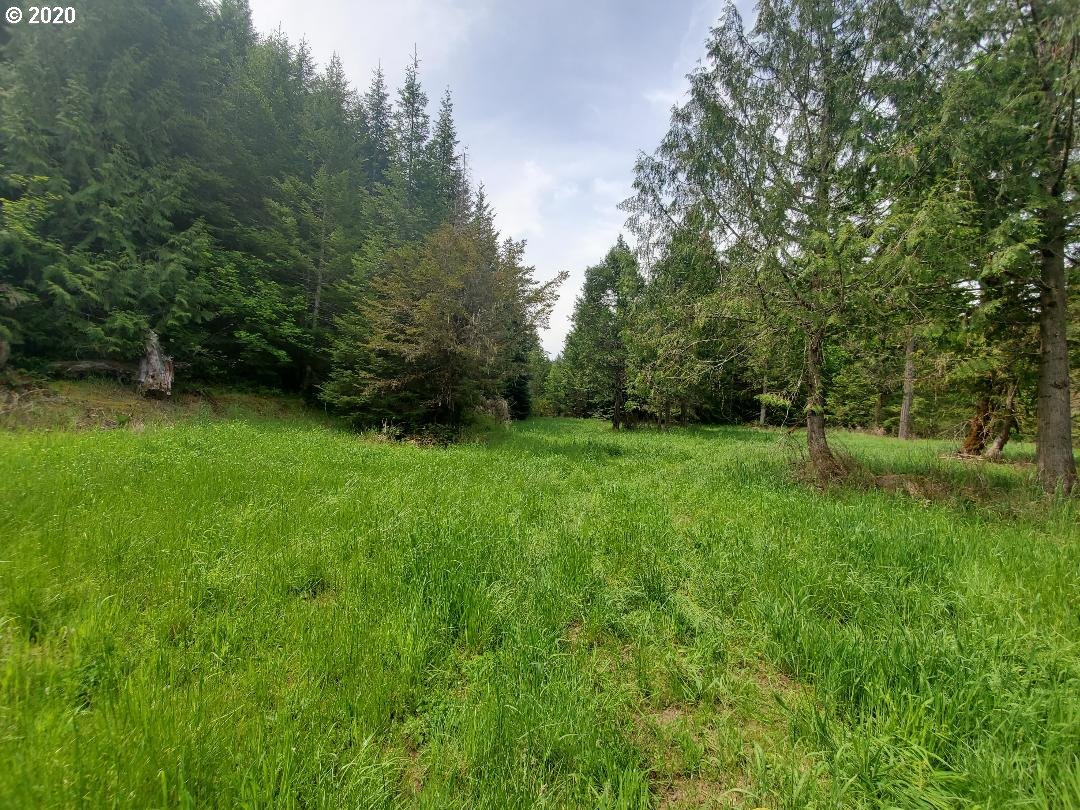 15102 South Myrtle Road, Unit 3 Myrtle Creek, OR 97457 - Photo 11 of 31 Gallery Image 11