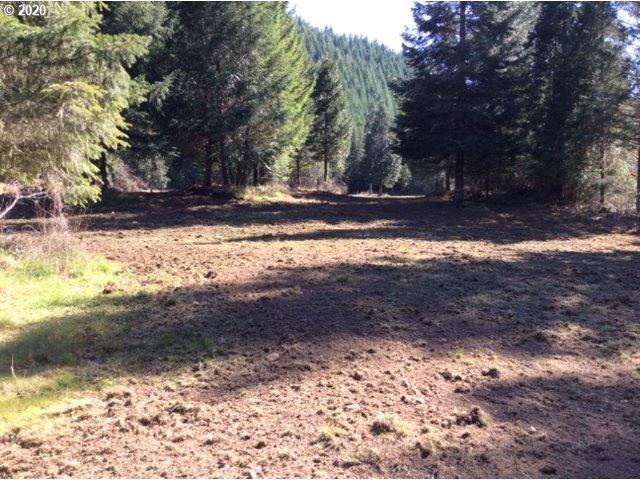 15102 South Myrtle Road, Unit 3 Myrtle Creek, OR 97457 - Photo 13 of 31 Gallery Image 13