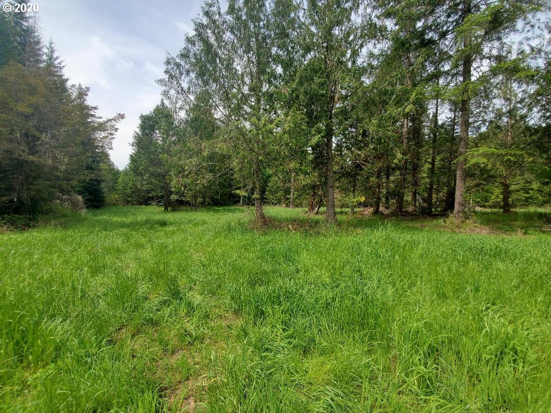 15102 South Myrtle Road, Unit 3 Myrtle Creek, OR 97457 - Photo 9 of 31 Gallery Image 9