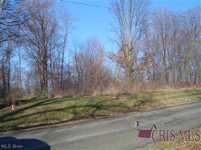99999 Richey School Road Hanoverton, OH 44423 - Photo 1 of 1 Gallery Image 1