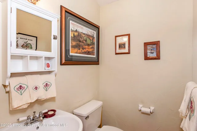 a bathroom with a toilet a sink and a shower curtain