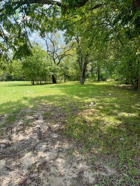 701 North Neal Street Commerce, TX 75428 - Photo 4 of 6 a view of outdoor space with trees all around