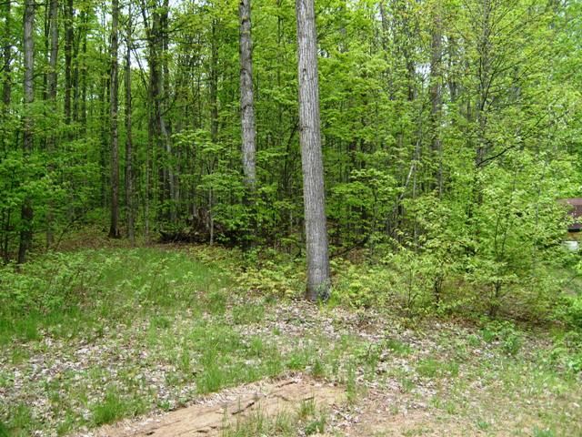 8673 Covert Road Northeast Mancelona, MI 49659 - Photo 39 of 41 1832650-38.JPG