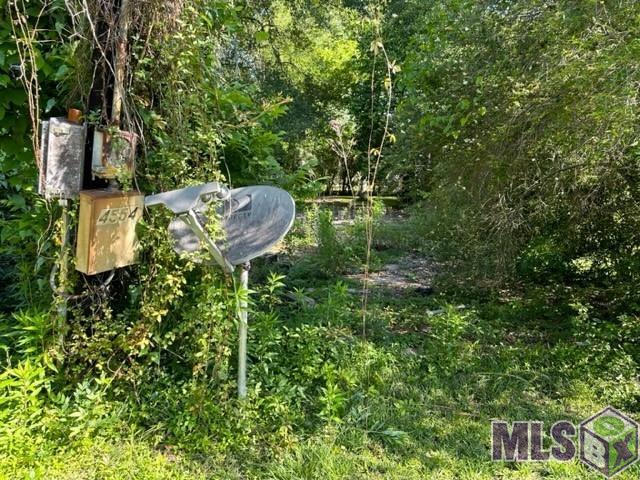 4554 Foret Street Addis, LA 70710 - Photo 6 of 10 Gallery Image 6