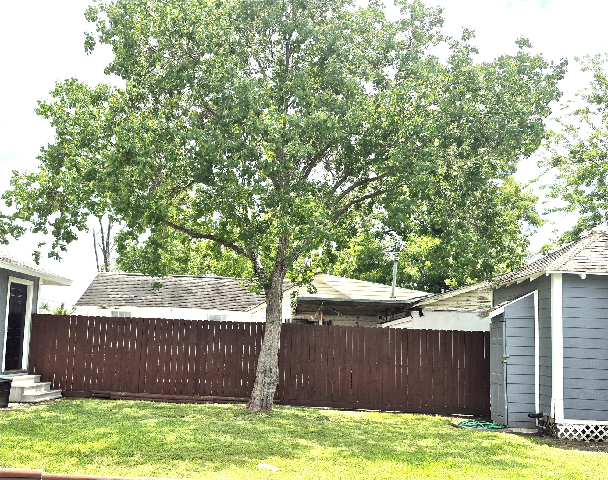 1801 Roosevelt Street, Unit 1801 Houston, TX 77012 - Photo 9 of 11 a view of a backyard with wooden fence and a large tree