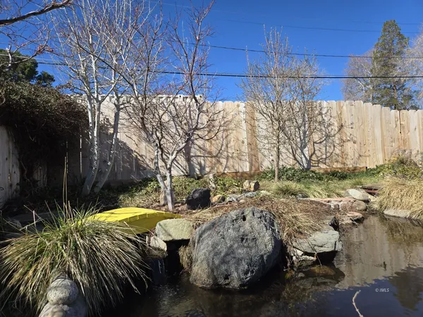 a view of a backyard