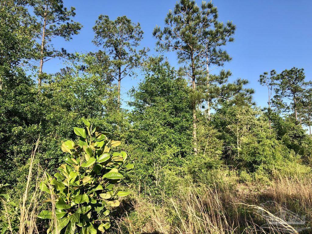 Lot 6-e-2 Lot 6-e-2 Gin Road Pace, FL 32571 - Photo 3 of 12