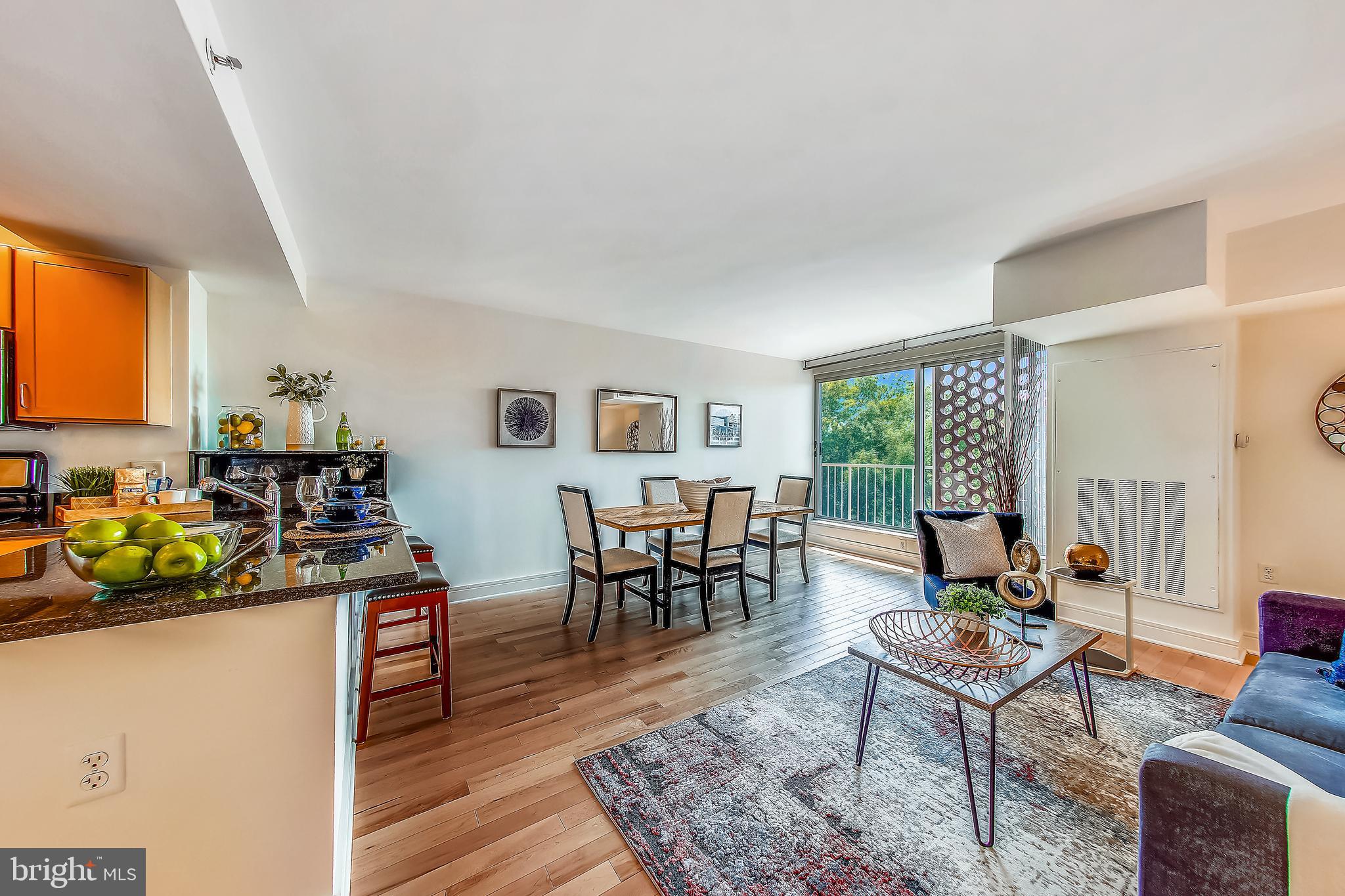 800 4th Street Southwest, Unit N721 Washington, DC 20024 - Photo 4 of 29
