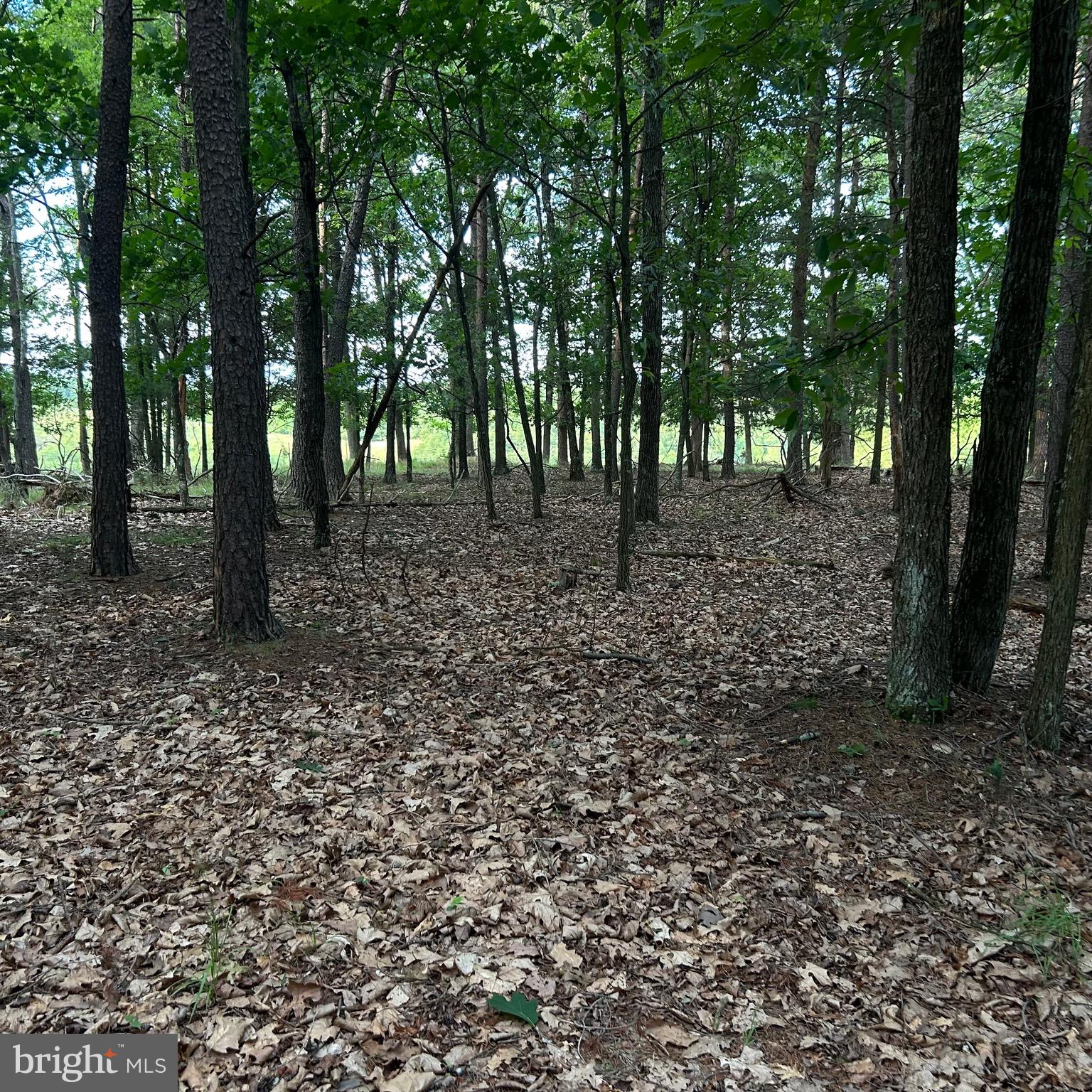 0 Headsville Road Keyser, WV 26726 - Photo 40 of 46