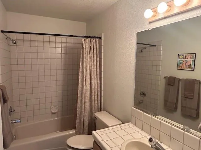 a bathroom with a sink and toilet