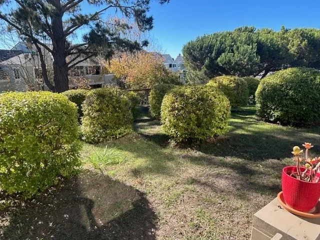 a view of a yard with plants and large trees