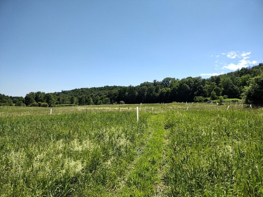 56 Elk Inn Road Port Henry, NY 12974 - Photo 22 of 38 DA2D3362-6030-4767-BD04-5B7BF0603BD9_1_1