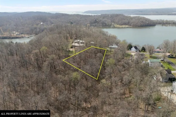 a view of backyard with green space