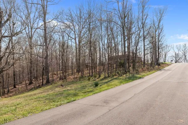 a backyard of a house with lots of trees