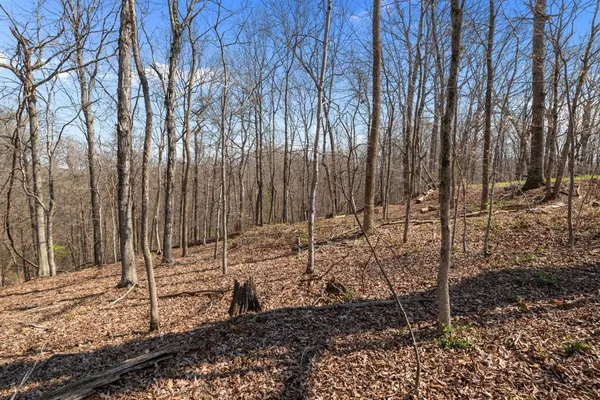 a view of a backyard of the house
